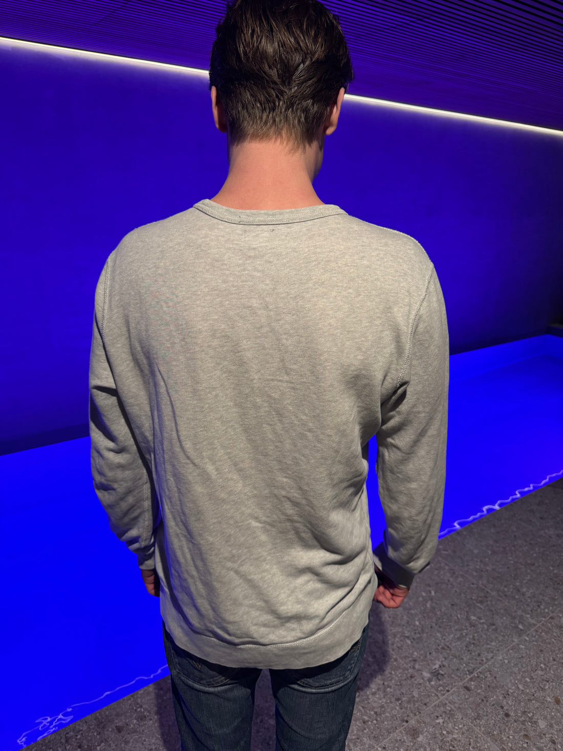 Denim & Supply Ralph Lauren Sweatshirt – Grå «Red Hook Brooklyn» fiskemotiv
