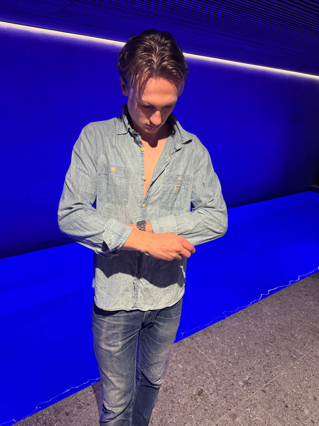 Denim & Supply Ralph Lauren Chambrayskjorte – Sjeldent kunstmotiv på ryggen L
